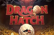 Demo Dragon Hatch