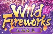 Demo Wild Fireworks